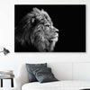 Animal wall art and canvas prints of Regal Lion Profile on a stretched canvas displayed in a room