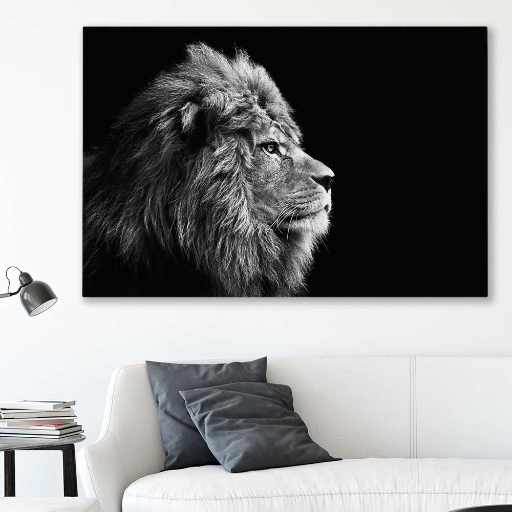 Animal wall art and canvas prints of Regal Lion Profile on a stretched canvas displayed in a room