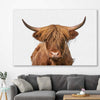 Animal wall art and canvas prints of Rustic Highland Cow on a stretched canvas displayed in a room