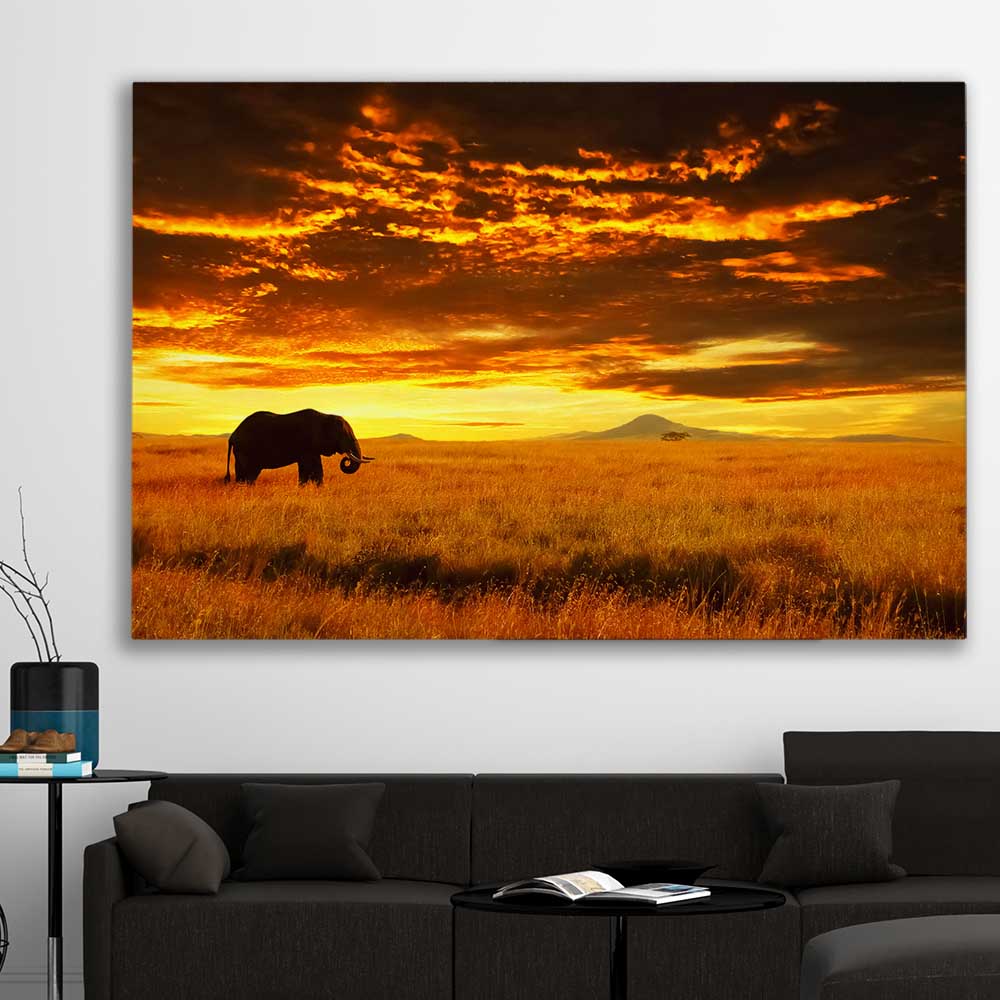 Animal wall art and canvas prints of Savannah Elephant Sunset on a stretched canvas displayed in a room
