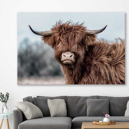 Animal wall art and canvas prints of Scottish Highland on a stretched canvas displayed in a room