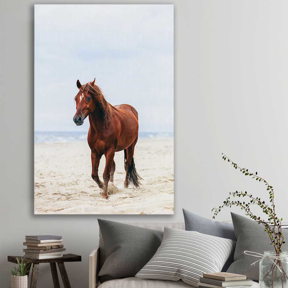 Animal wall art and canvas prints of Sea Breeze Horse on a stretched canvas displayed in a room