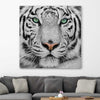 Animal wall art and canvas prints of Silent White Tiger on a stretched canvas displayed in a room