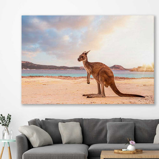 Animal wall art and canvas prints of Sunset Kangaroo Walk on a stretched canvas displayed in a room