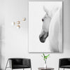 Animal wall art and canvas prints of White Horse Elegance on a stretched canvas displayed in a room