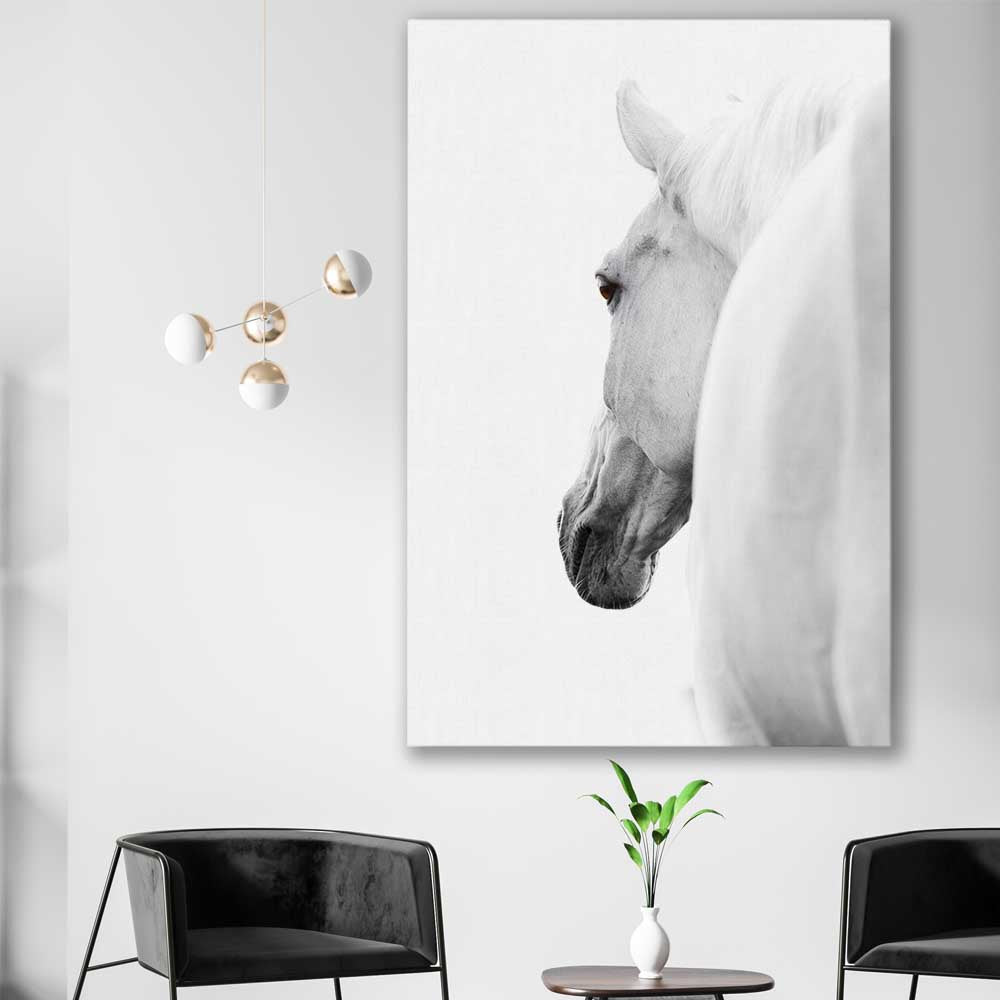 Animal wall art and canvas prints of White Horse Elegance on a stretched canvas displayed in a room