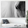 Animal wall art and canvas prints of White Horse Grace on a stretched canvas displayed in a room