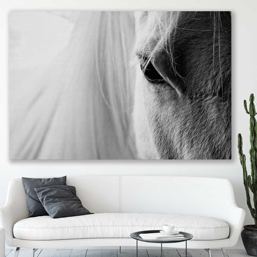 Animal wall art and canvas prints of White Horse Grace on a stretched canvas displayed in a room