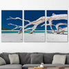 Beach and coastal wall art print of Whitsundays Driftwood Set on a stretched canvas displayed in a room