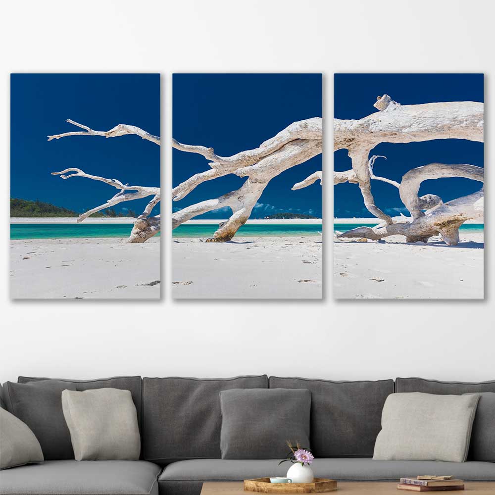 Beach and coastal wall art print of Whitsundays Driftwood Set on a stretched canvas displayed in a room