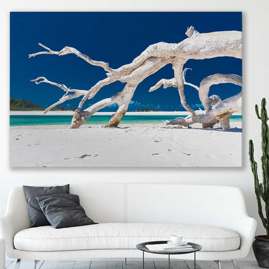 Beach and coastal wall art print of Whitsundays Driftwood on a stretched canvas displayed in a room