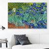 Classic wall art and canvas print of Irises Van Gogh on a stretched canvas displayed in a room