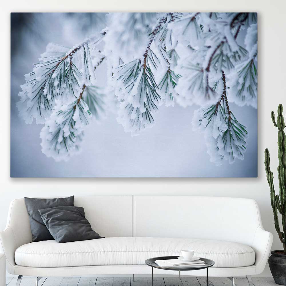 Floral print of Frosted Pine Canopy on a stretched canvas displayed in a room