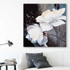 Floral print of Calming White Flowers on a stretched canvas displayed in a room