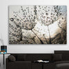 Floral print of Dandelion Seed Sunrise on a stretched canvas displayed in a room