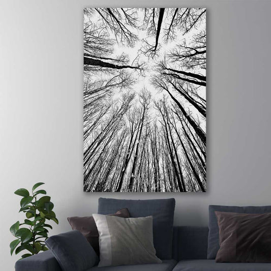 Floral print of Forest Sky on a stretched canvas displayed in a room