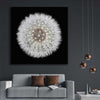 Inspirational wall art print of Isolated Dandelion on a stretched canvas displayed in a room