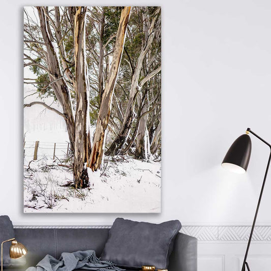 Floral print of Snowy Gumtrees on a stretched canvas displayed in a room