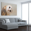 Animal wall art and canvas prints of Barn Owl Gaze on a stretched canvas displayed from an angle in a room