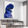Animal wall art and canvas prints of Black Cockatoo Two on a stretched canvas displayed from an angle in a room