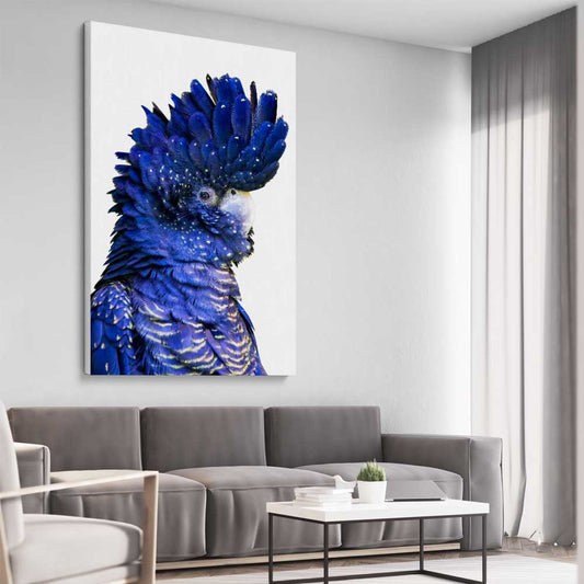 Animal wall art and canvas prints of Black Cockatoo Two on a stretched canvas displayed from an angle in a room