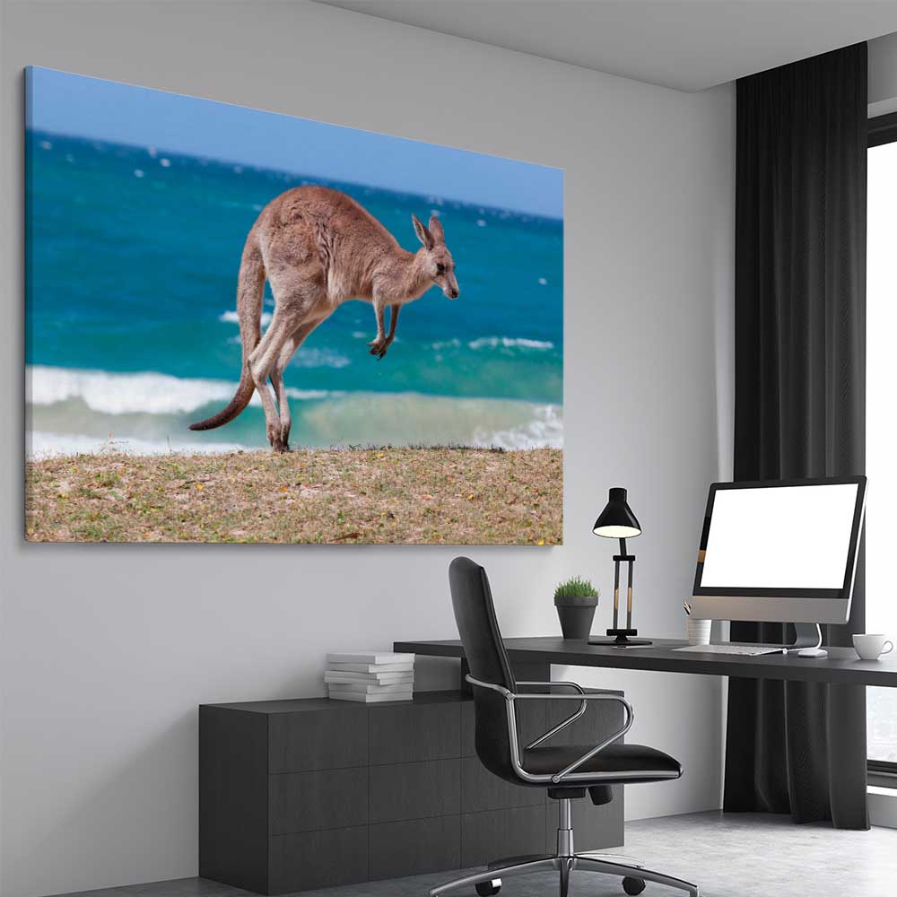 Animal wall art and canvas prints of Coastal Kangaroo Leap on a stretched canvas displayed from an angle in a room