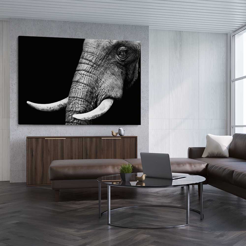 Animal wall art and canvas prints of Elephant Majesty on a stretched canvas displayed from an angle in a room