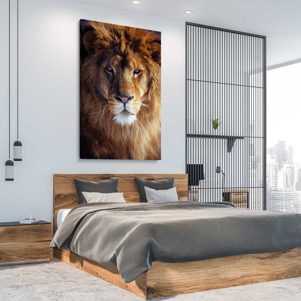 Animal wall art and canvas prints of Golden Lion Portrait on a stretched canvas displayed from an angle in a room