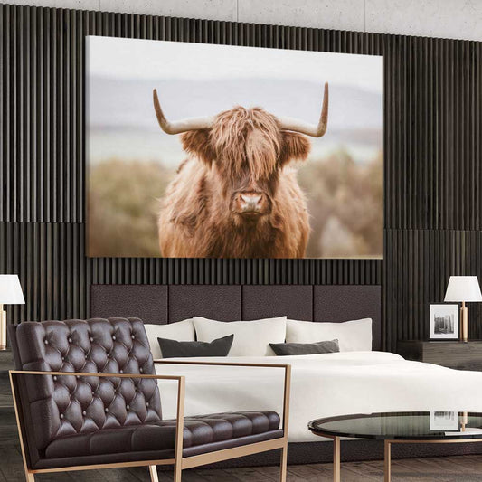 Animal wall art and canvas prints of Highland Cow on a stretched canvas displayed from an angle in a room