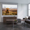 Animal wall art and canvas prints of Highland Horizon on a stretched canvas displayed from an angle in a room