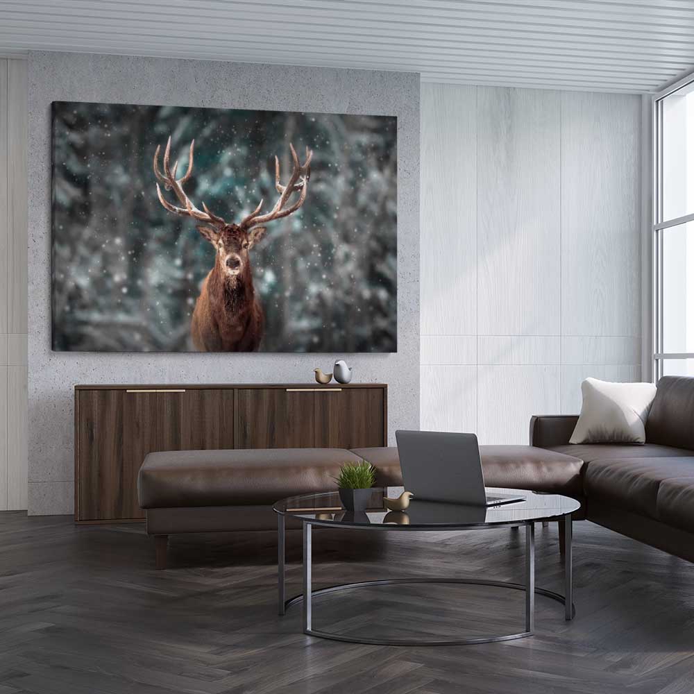 Animal wall art and canvas prints of Highland Stag Portrait on a stretched canvas displayed from an angle in a room