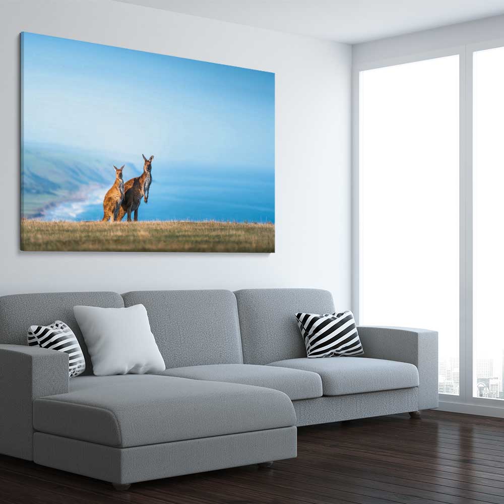 Animal wall art and canvas prints of Kangaroo Coastal Vista on a stretched canvas displayed from an angle in a room
