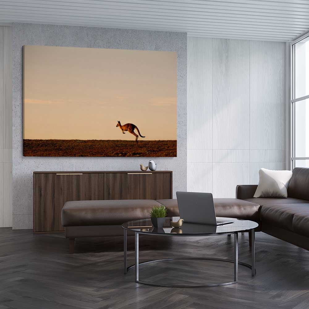Animal wall art and canvas prints of Lone Kangaroo Plains on a stretched canvas displayed from an angle in a room