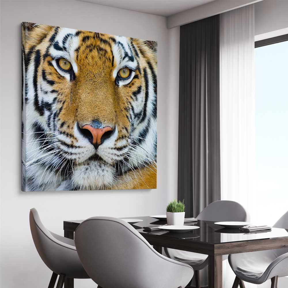 Animal wall art and canvas prints of Majestic Tiger Portrait on a stretched canvas displayed from an angle in a room