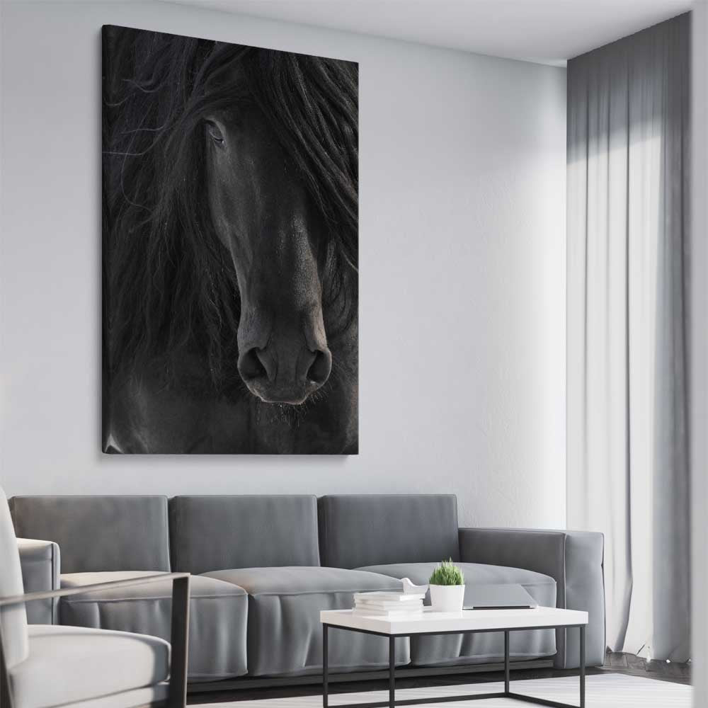 Animal wall art and canvas prints of Midnight Friesian Horse on a stretched canvas displayed from an angle in a room