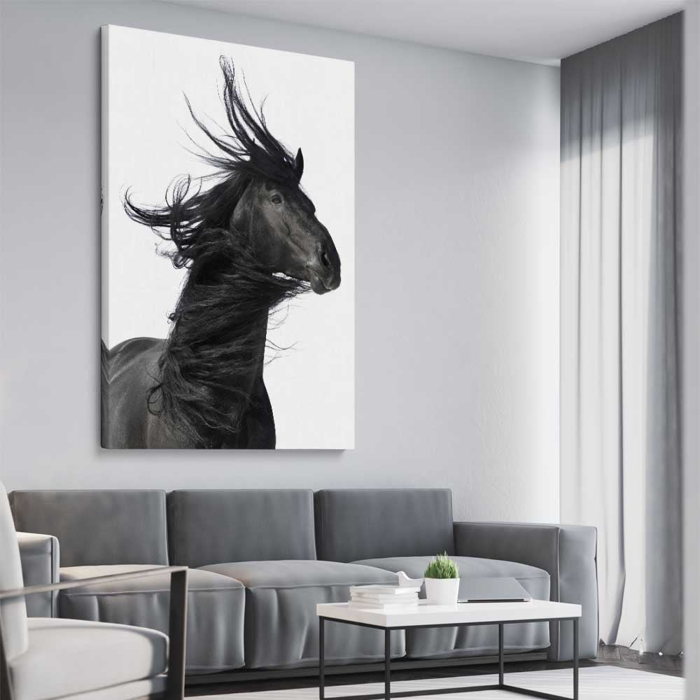 Animal wall art and canvas prints of Midnight Horse on a stretched canvas displayed from an angle in a room
