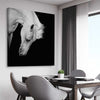 Animal wall art and canvas prints of Midnight White Horse on a stretched canvas displayed from an angle in a room