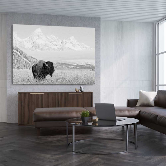 Animal wall art and canvas prints of Mountain Bison on a stretched canvas displayed from an angle in a room