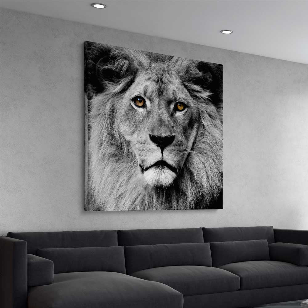 Animal wall art and canvas prints of Noble Lion Portrait on a stretched canvas displayed from an angle in a room