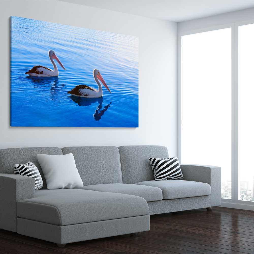 Animal wall art and canvas prints of Pelican Blue Waters on a stretched canvas displayed from an angle in a room