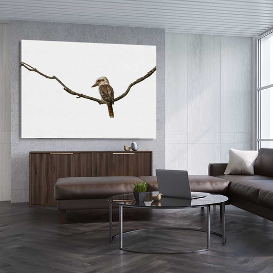 Animal wall art and canvas prints of Perched Kookaburra on a stretched canvas displayed from an angle in a room