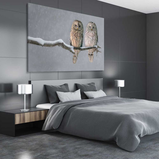 Animal wall art and canvas prints of Perched Owls on a stretched canvas displayed from an angle in a room