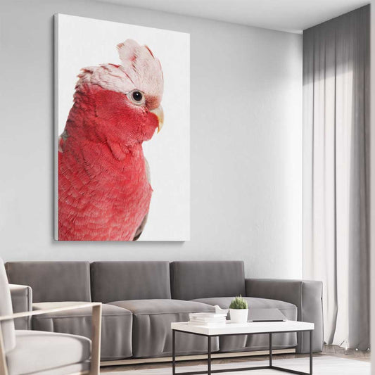 Animal wall art and canvas prints of Pink Cockatoo on a stretched canvas displayed from an angle in a room