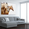 Animal wall art and canvas prints of Purebred Horse Pair on a stretched canvas displayed from an angle in a room