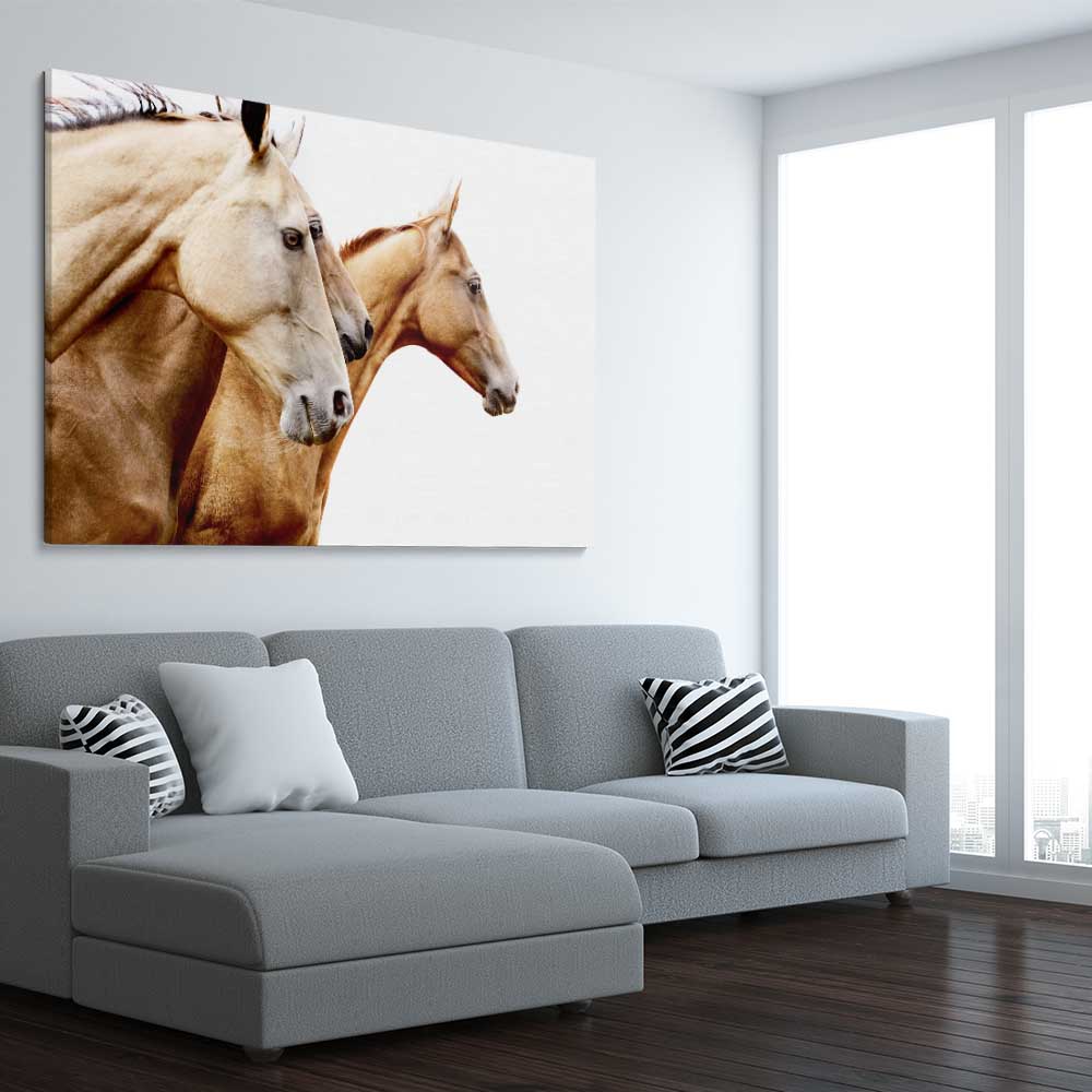 Animal wall art and canvas prints of Purebred Horse Pair on a stretched canvas displayed from an angle in a room