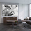 Animal wall art and canvas prints of Quiet Highland Cow on a stretched canvas displayed from an angle in a room