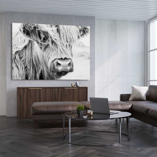 Animal wall art and canvas prints of Quiet Highland Cow on a stretched canvas displayed from an angle in a room