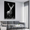 Animal wall art and canvas prints of Red Deer Gaze on a stretched canvas displayed from an angle in a room