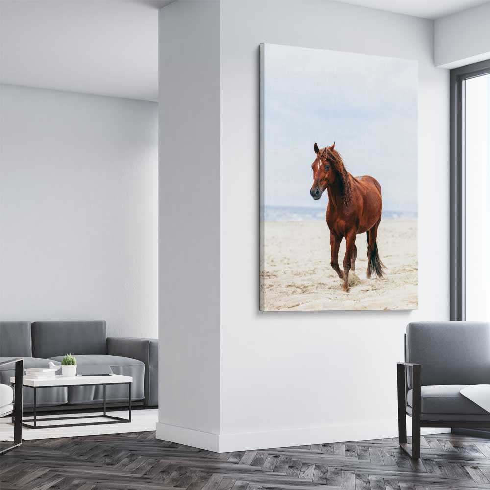 Animal wall art and canvas prints of Sea Breeze Horse on a stretched canvas displayed from an angle in a room