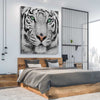 Animal wall art and canvas prints of Silent White Tiger on a stretched canvas displayed from an angle in a room